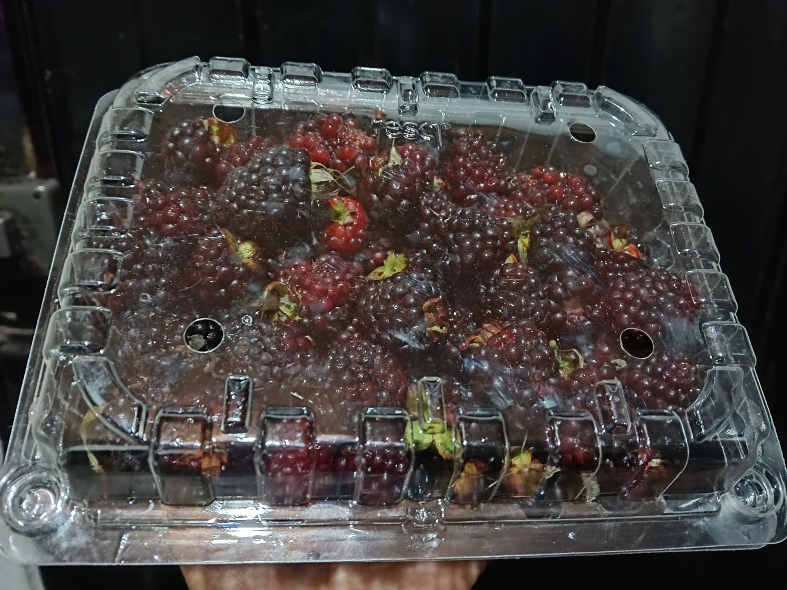 Producción de Shaday Berries